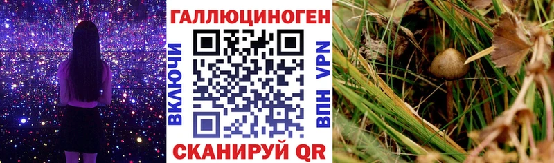 Галлюциногенные грибы Cubensis  что такое наркотик  Мыски 